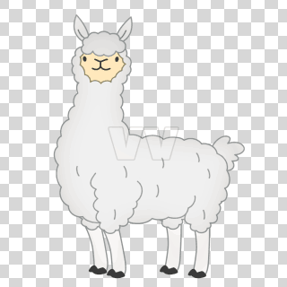 Alpaca