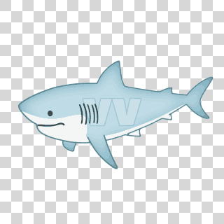 BullShark
