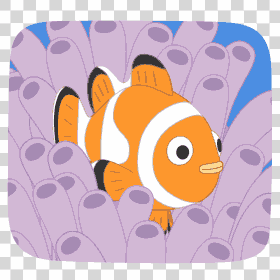 Clownfish