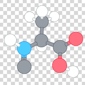 amino acid