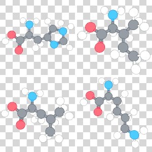 Essential amino acids