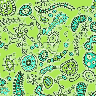 bacteria