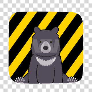 beware of bears