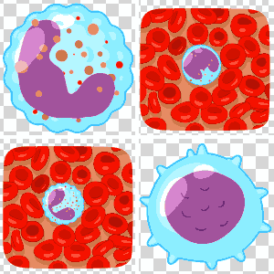 blood cell