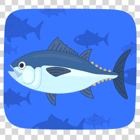 bluefin_tuna