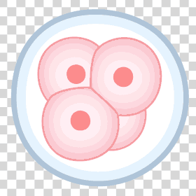 cell-division