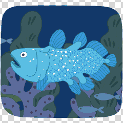 coelacanth