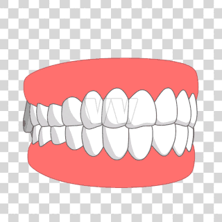 denture