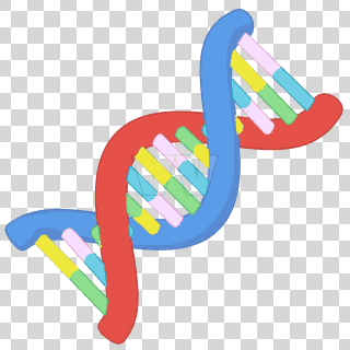 DNA
