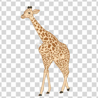 giraffe