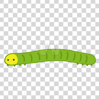 inchworm