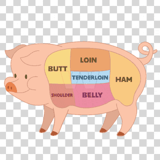 pig