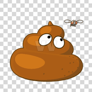 poop