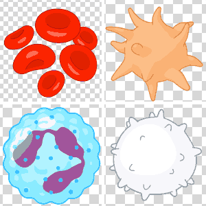 blood cell