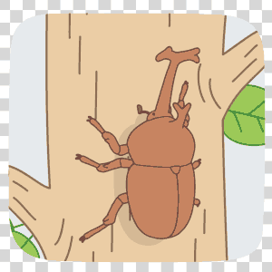 rhinoceros_beetle