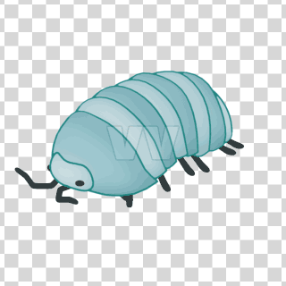 rolyPoly