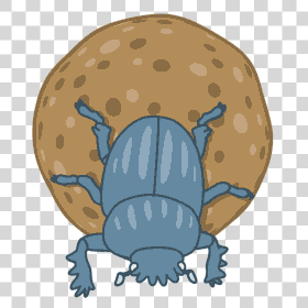 scarab