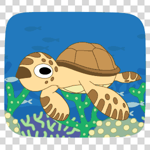 sea turtle