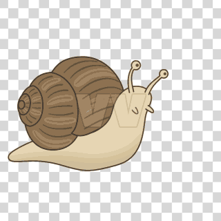 snails