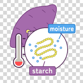 starch