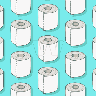 toilet paper