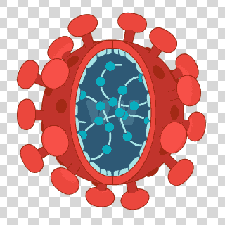 virus