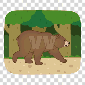 bear