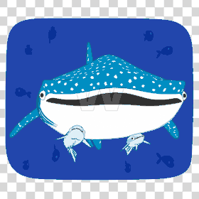 whale shark